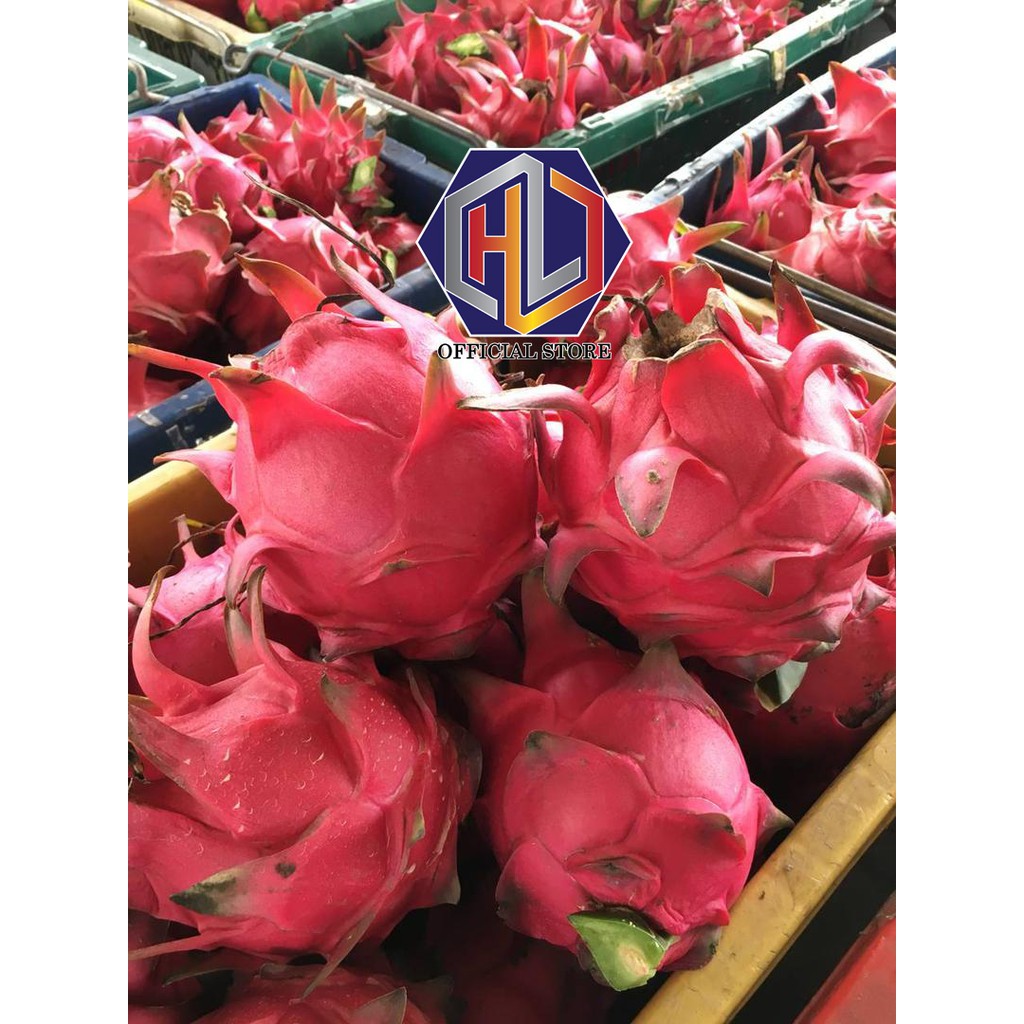 Pre Order Red Dragon Fruit Direct From Farm 300g 400g 500g 600g