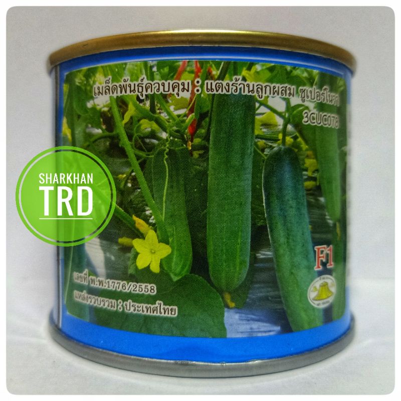 Tin G Supernova Cu Biji Benih Timun Batang F Hybrid Cucumber