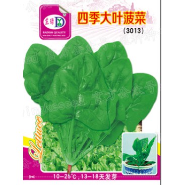 30 Pilihan Biji Benih Sayur Low Land Seeds Garden Pasu Potted Tanam