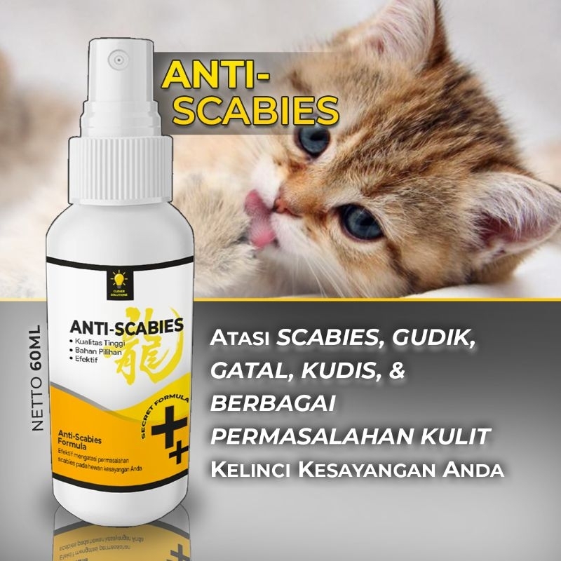 Medicine For Cat Rabbit Fungus SCABIES Demodex Impetigo Fungus Fleas