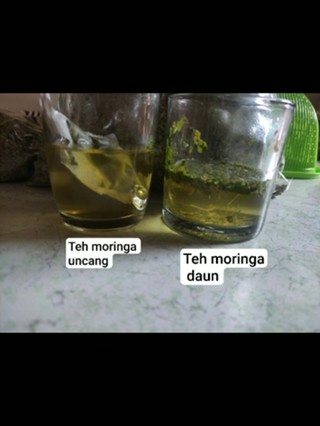 Teh Moringa Teh Daun Kelor 20 Uncang Murah Jimat Moringa Oleifera Tea