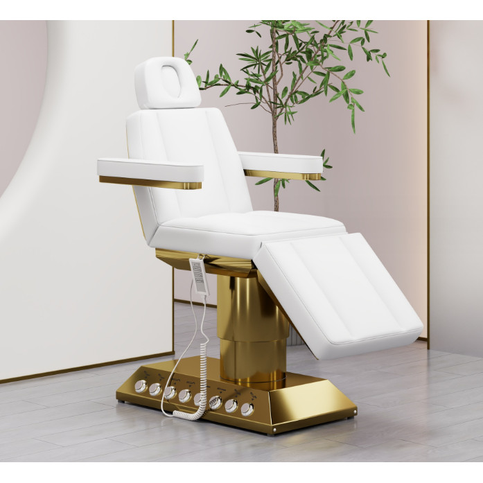 Salon Spa Massage Spa Treatment Table Electric Section Facial Beauty