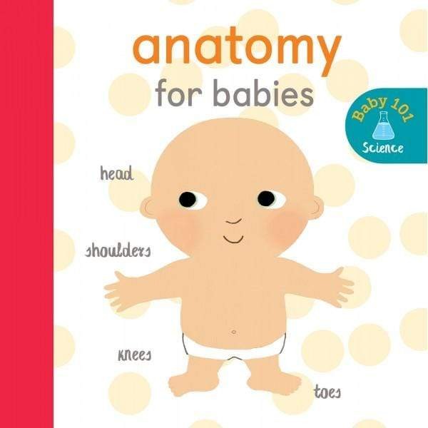 BBW BABY 101 ANATOMY FOR BABIES ISBN 9781848578173 Shopee Malaysia