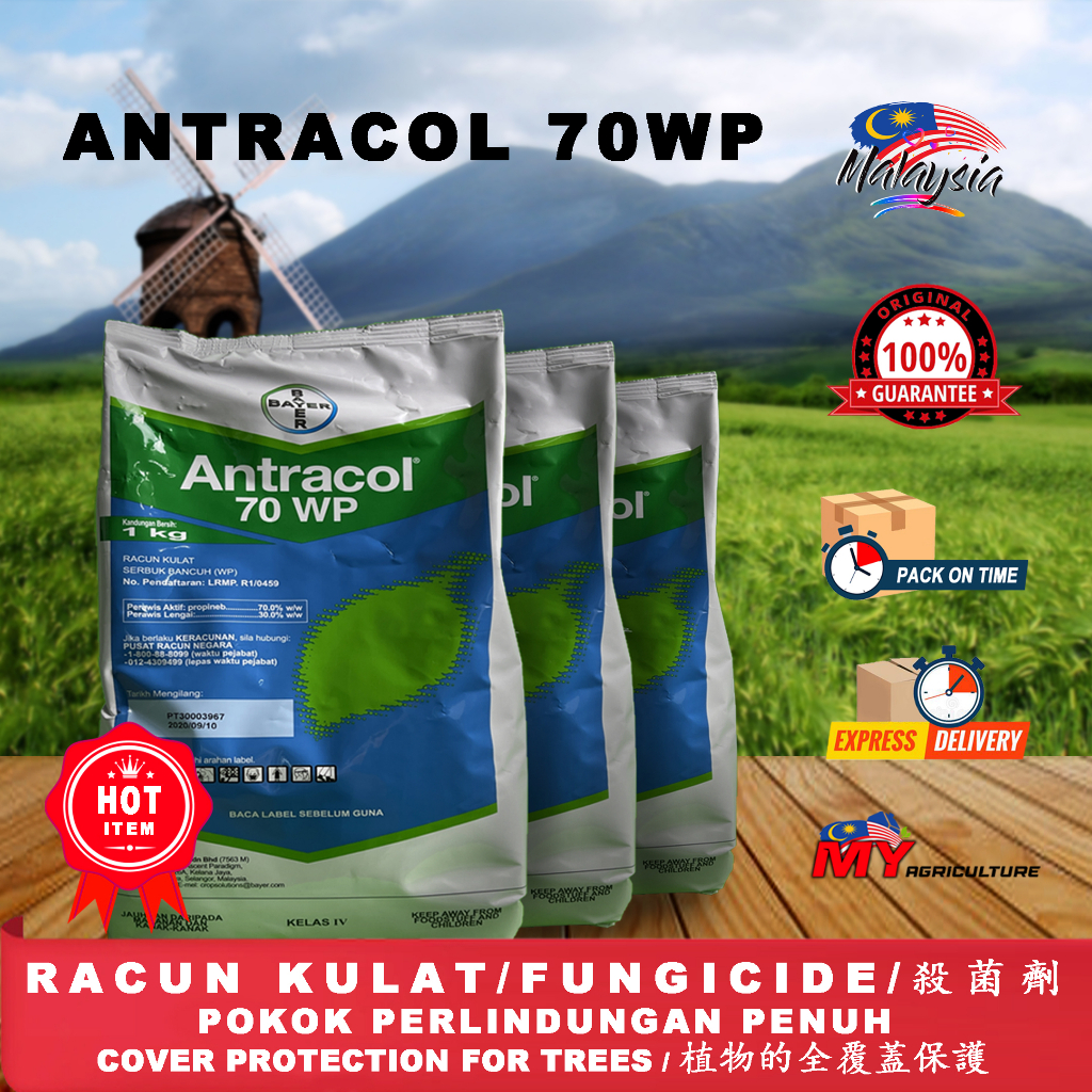 BAYER ANTRACOL 70WP RACUN KULAT FUNGICIDE 1KG MY AGRICULTURE