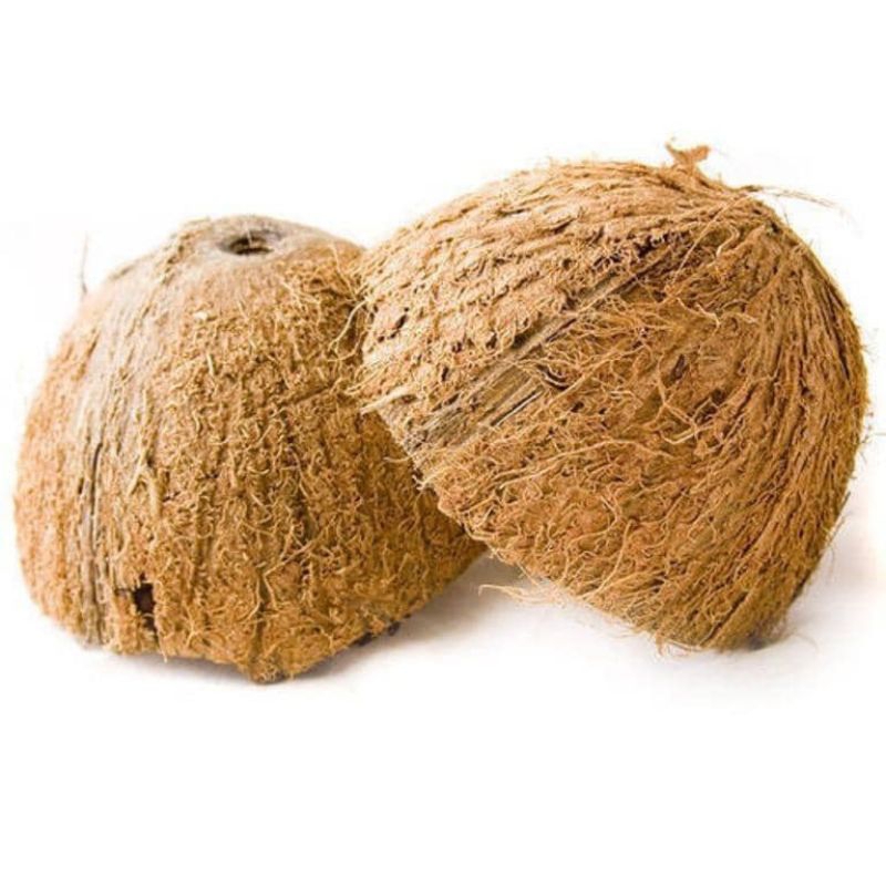 Tempurung Kelapa Pecah Coconut Shell Kg Shopee Malaysia