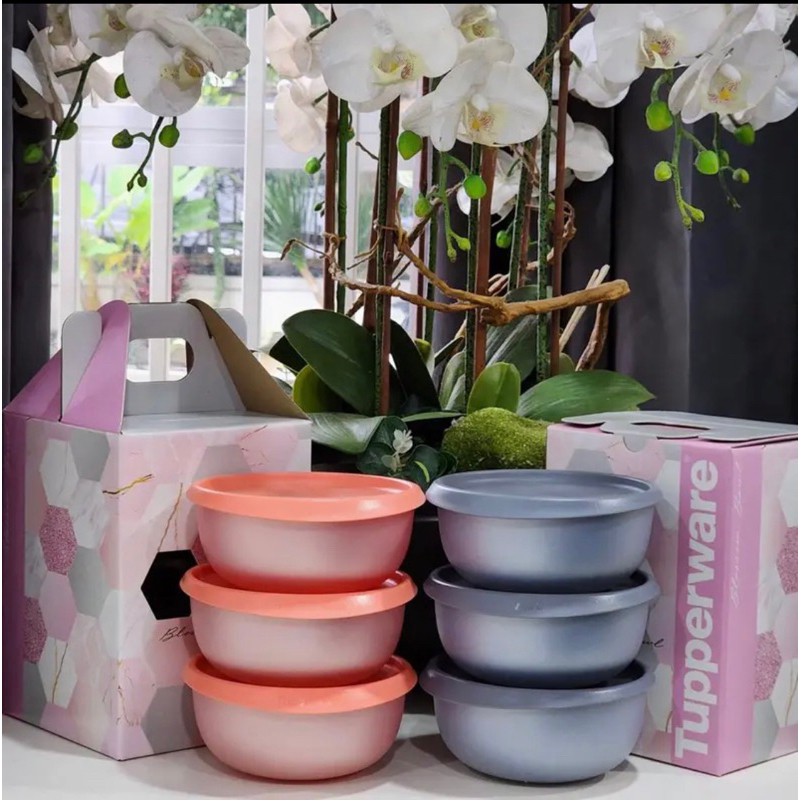 Tupperware Blossom Bowls With Gift Box Airtight Container Bekas