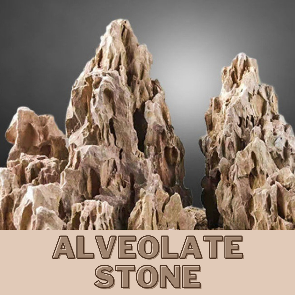 Alveolate Aquascape Stone Aquarium Decoration Rock Shopee Malaysia