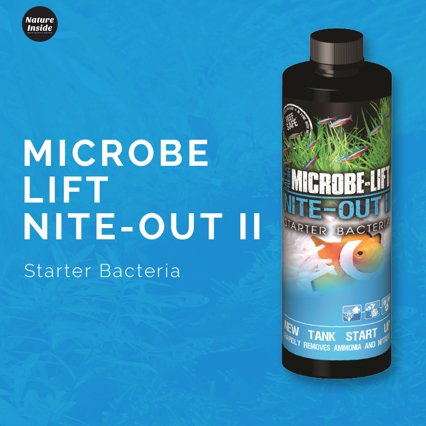 Microbe Lift Nite Out II Starter Bacteria Shopee Malaysia