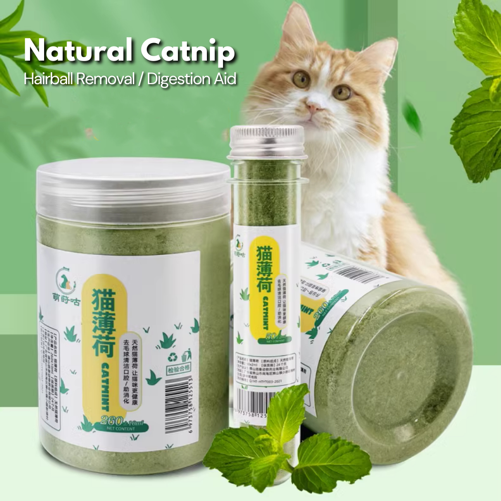 Catnip Powder Ml Ml Test Tube Catmint Catwort Catswort