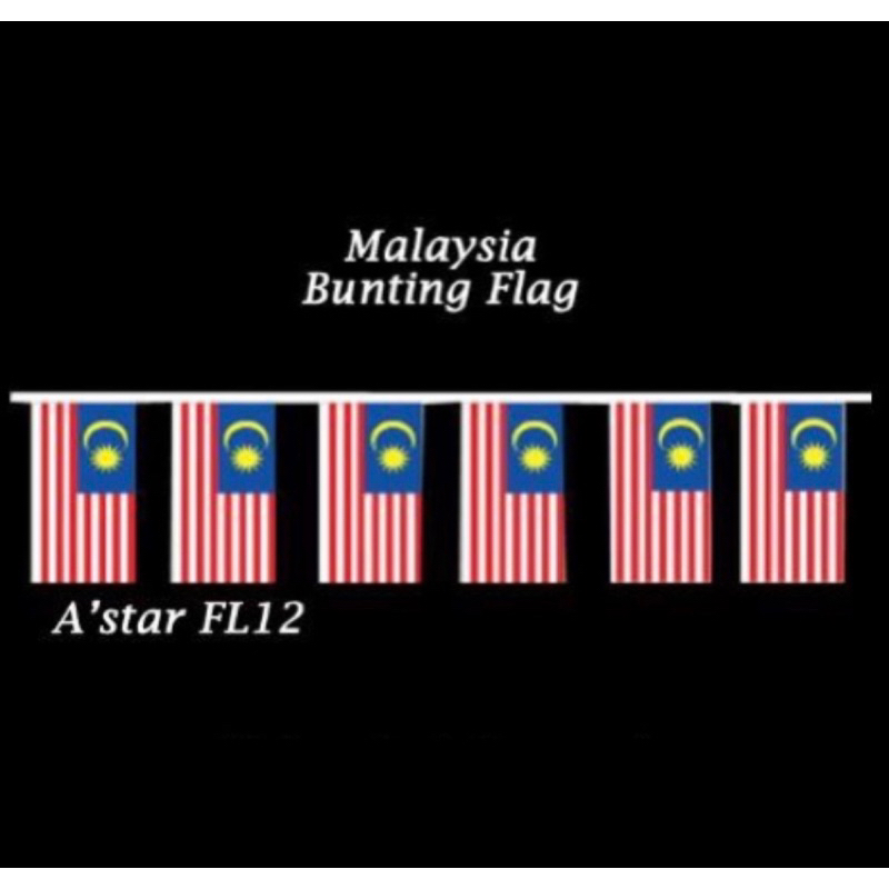 Hanging Malaysia Flag Bunting Flag Flagline Bendera Malaysia X Cm