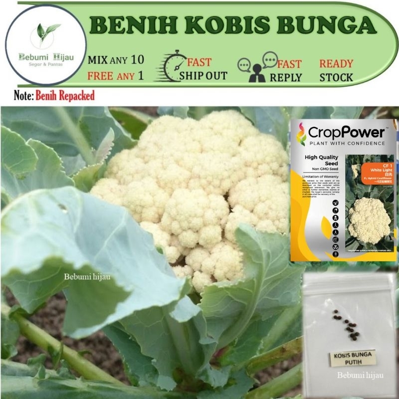 Biji Benih Kobis Bunga Cauliflower Seeds Branded Crop Power Repacked