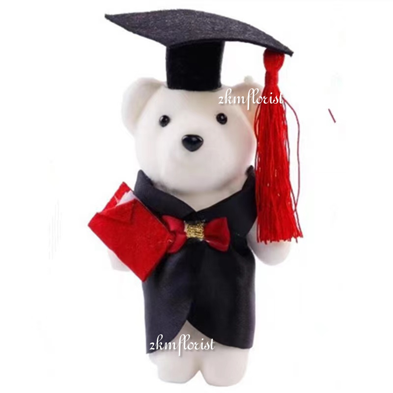 Cute Graduation Convocation Bear Plush Teddy Bear Plush Brown Convo