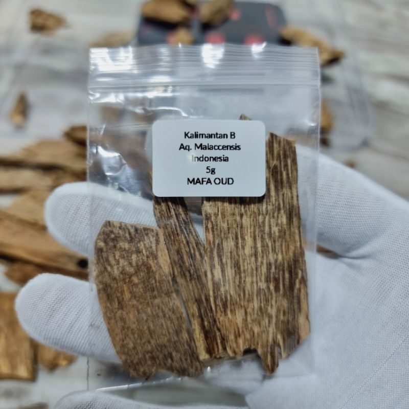 Gaharu Oud Kalimantan B Aquilaria Malaccensis Indonesia Agarwood Oudh