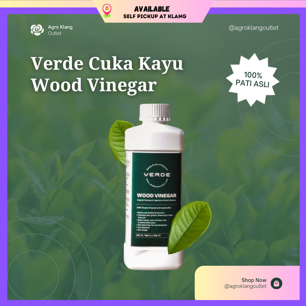 Verde Wood Vinegar L Cuka Kayu Wood Pati Asli Baja Anti Kulat