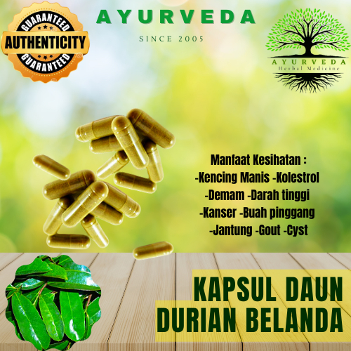 Ayurveda Kapsul 100 Daun Durian Belanda 1biji ORIGINAL Labtest