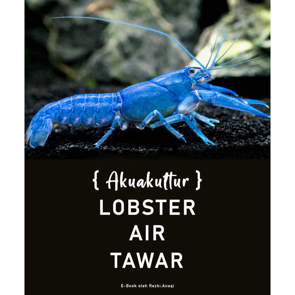 Akuakultur Lobster Air Tawar E Book Shopee Malaysia