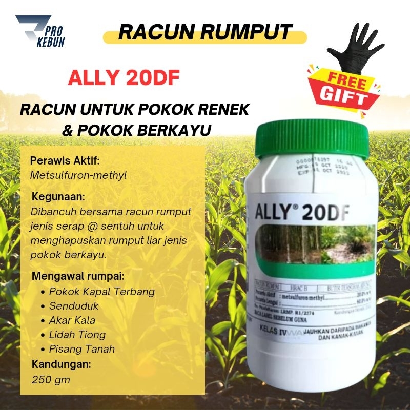 Ally 20DF Racun Rumput Serbuk Racun Metsulfuron Methyl Racun Rumput