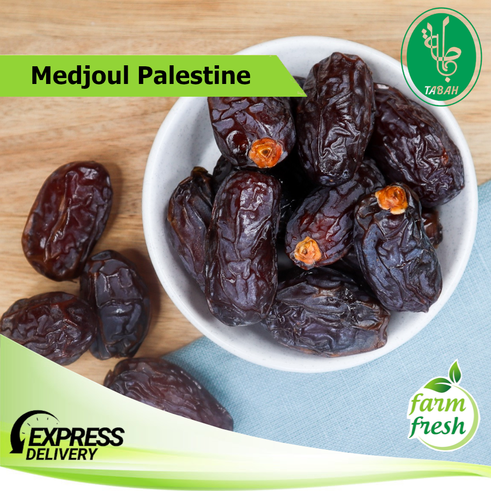 Palestinian Medjoul Dates Jumbo Kurma Medjol Palestine Gredaaa Imported