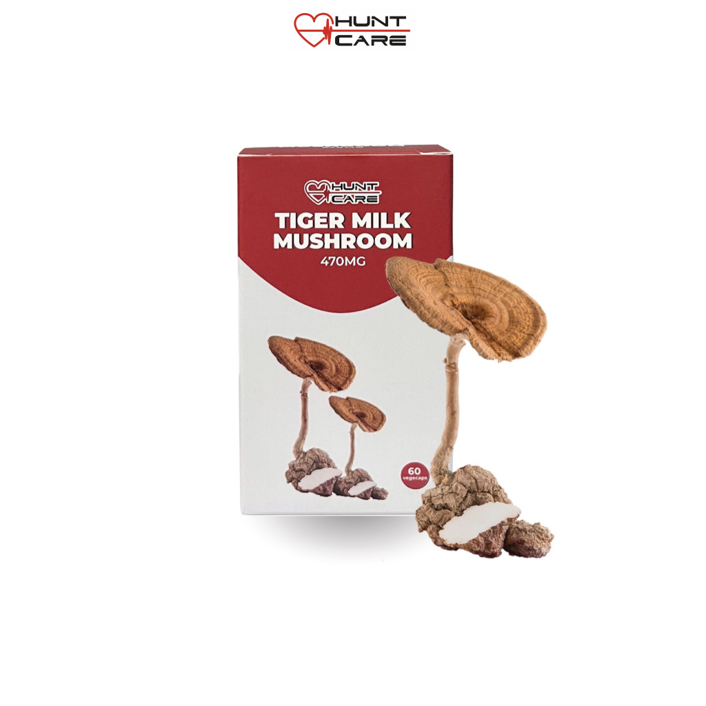 Clearance Huntcare Tiger Milk Mushroom Lignosus Rhinocerus Herbal