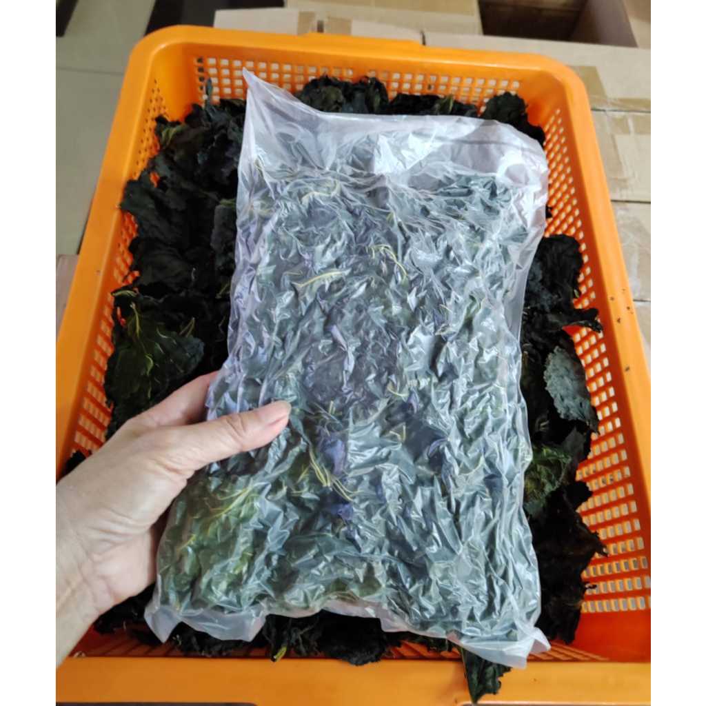 Dried mulberry leaf 100g 干桑叶 有机无农药 Shopee Malaysia