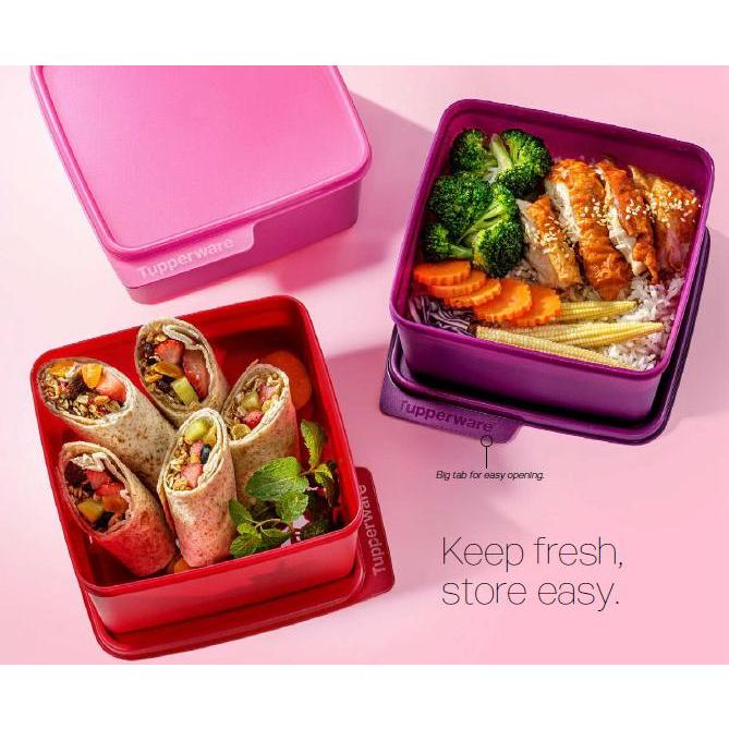 Tupperware Snack Stack L Tupperware Cozy Nest L Shopee Malaysia