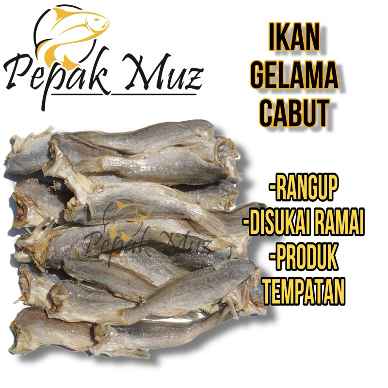 Borong Ikan Gelama Cabut Pepak Muz G Shopee Malaysia