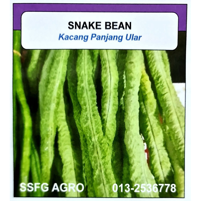 Biji Benih Kacang Panjang Ular Snake Bean Biji Shopee Malaysia