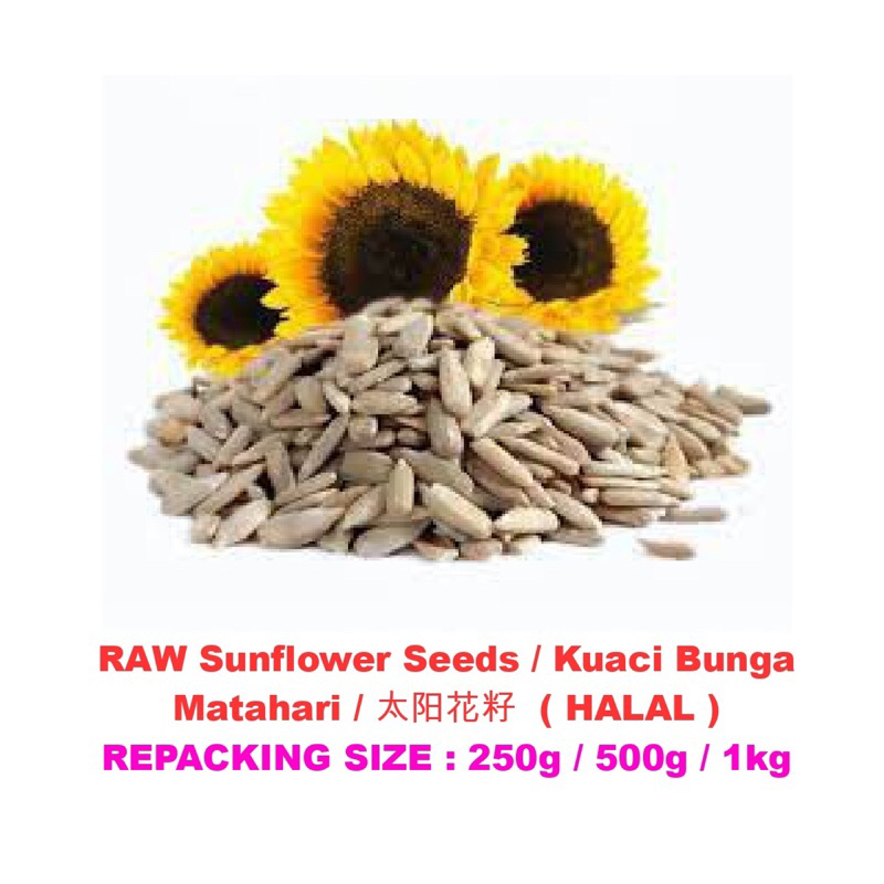 RAW Sunflower Seeds Kuaci Bunga Matahari 太阳花籽 HALAL Shopee