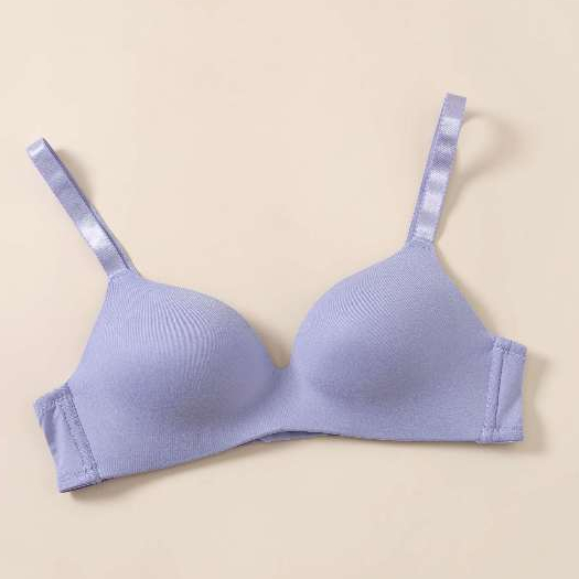 Felancy Lingerie Wireless Classic Bra 071 01013 Shopee Malaysia