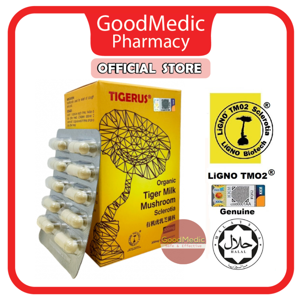 Tigerus Ligno Tm Tiger Milk Mushroom Sclerotia Mg S S Cendawan