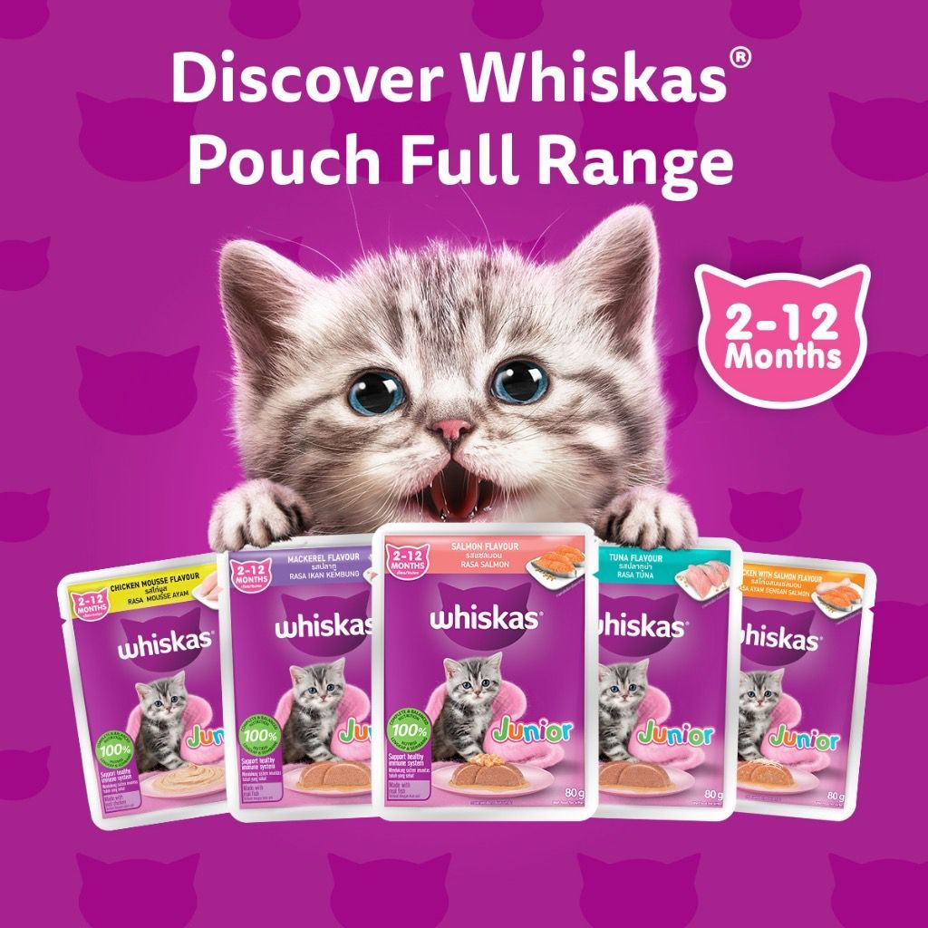 Whiskas Pouch Adult Kitten Junior Months Year Years Cat Wet