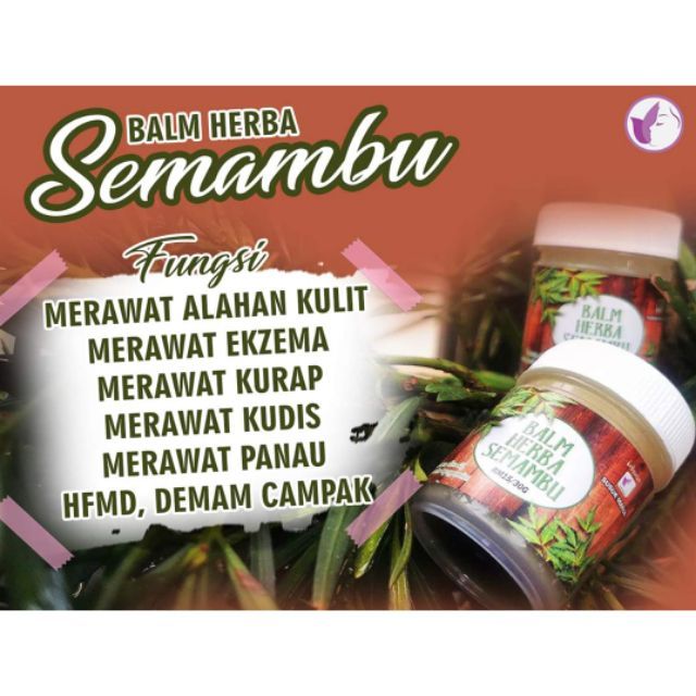 Balm Herba Daun Semambu Original Susuk Manja Melegakan Penyakit Kulit