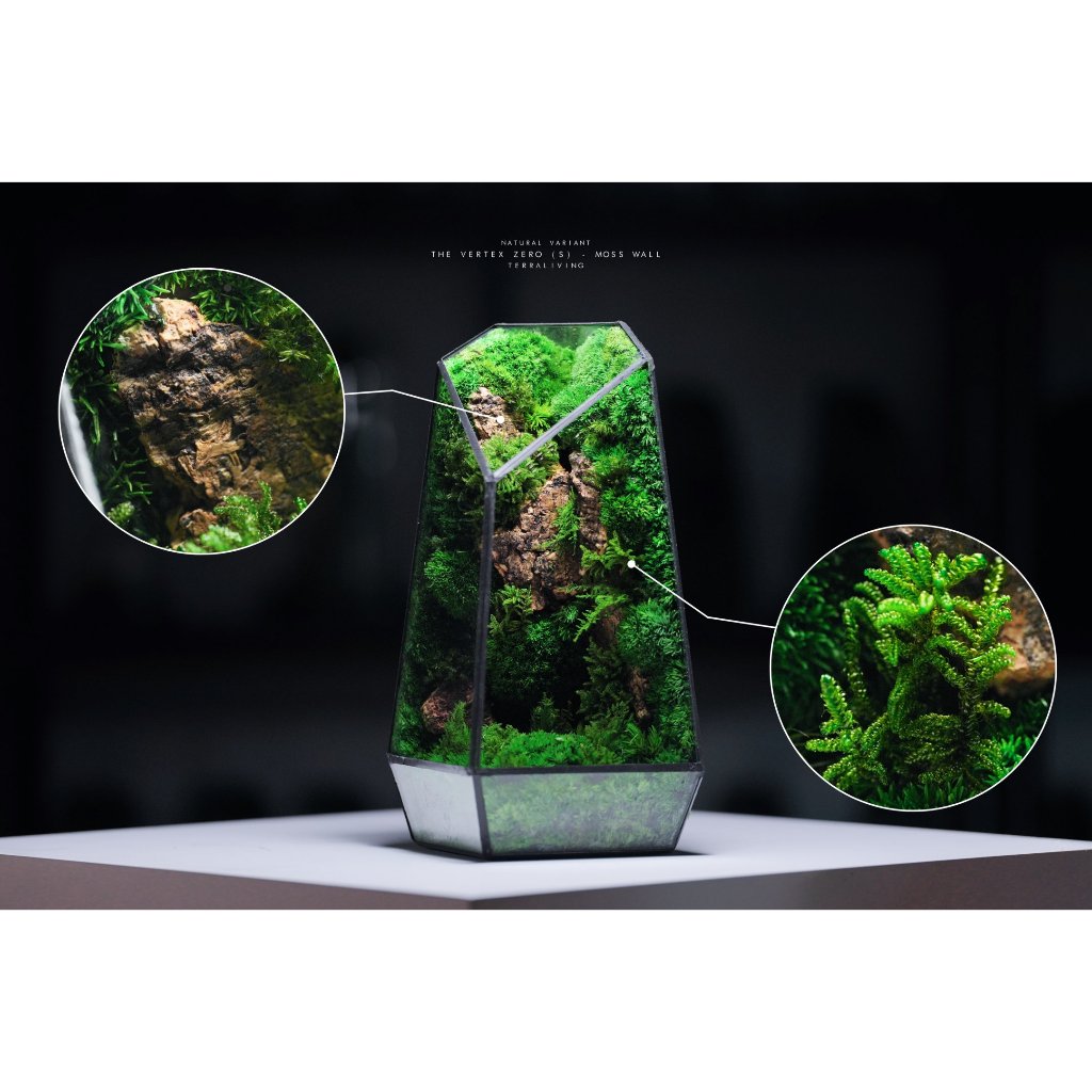 The Vertex Zero S Pure Moss Wall Zero Preserved Moss Terrarium