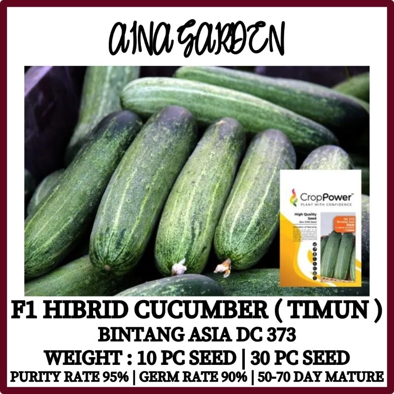 Hsk Pc Pc F Hibrid Cucumber Seed Biji Benih Timun Biji Benih