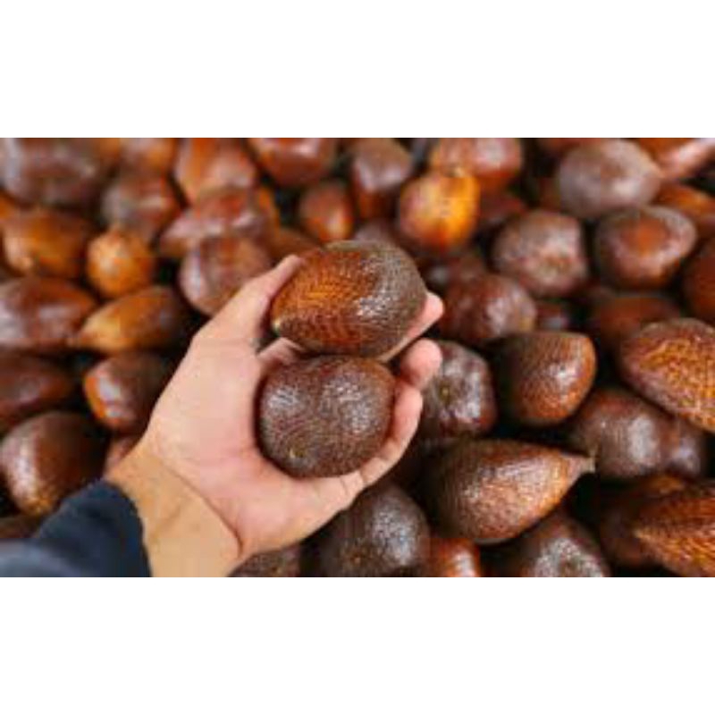 Salak Pondoh Indonesia Kg Shopee Malaysia