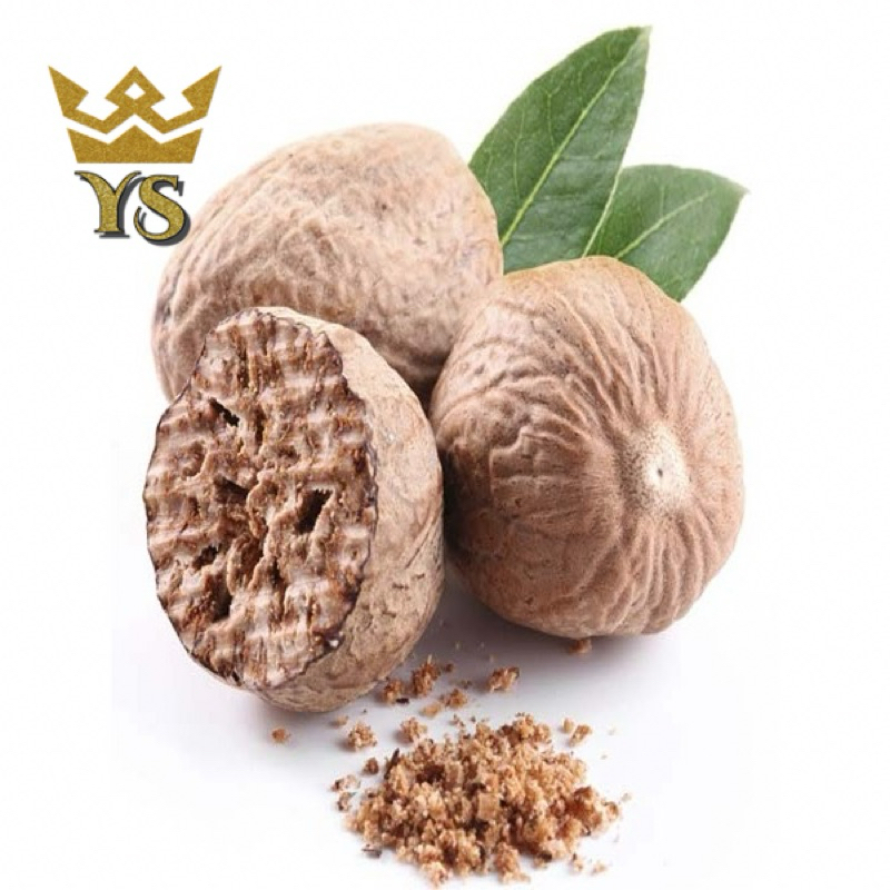 Jathikai Myristica Fragrans Nutmeg Dried Raw G Shopee Malaysia