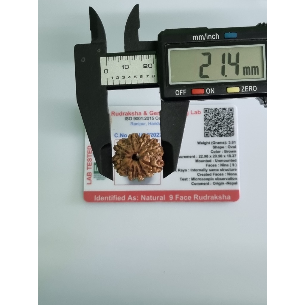 Original Rudraksha 9 Mukhi 9 Faces 9 Mugam Rudraksha Bead With Lab