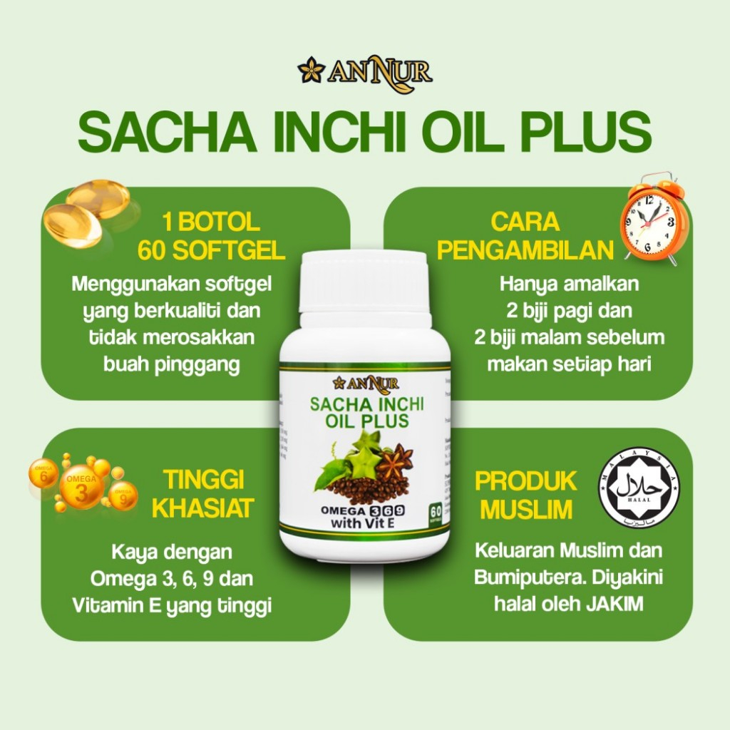 ANNUR SACHA INCHI OIL PLUS 60 S EXP 2024 25 READY STOCK Shopee