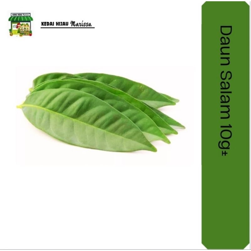 Daun Salam Segar Fresh Bay Leaf Serai Kayu Samak Kelat Manting Shopee