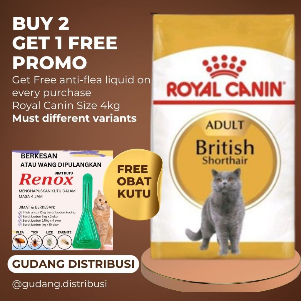 Royal Canin British Shorthair Adult 4kg Bsh Adult 100 Original Makanan