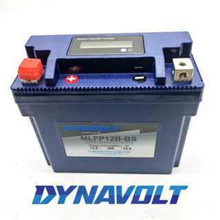 Lithium Battery Dynavolt Mlfp B Bs Yt B Bs Yt B Bs Gt B Gt B