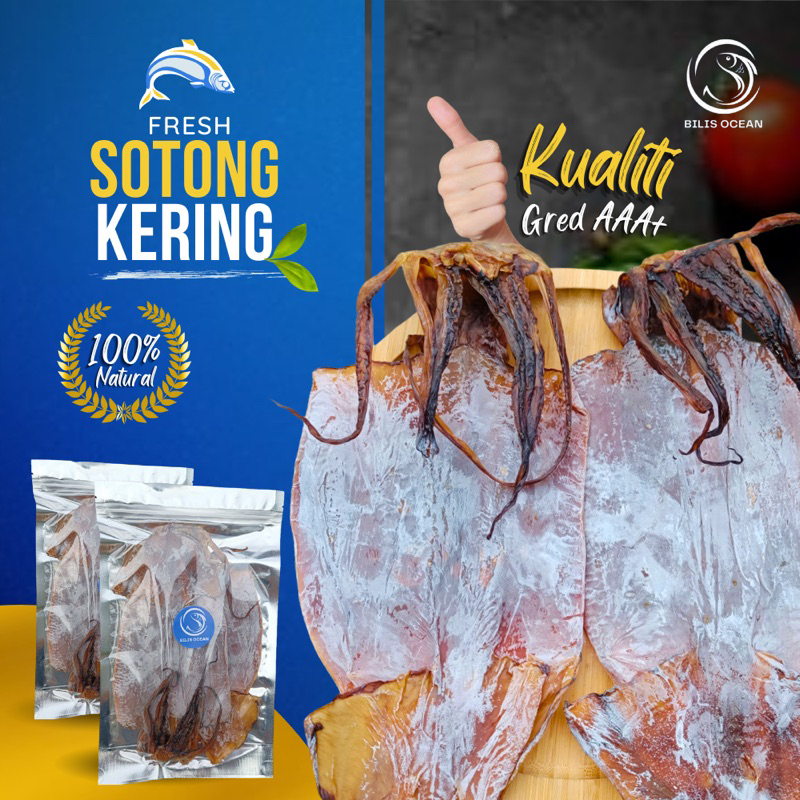 Sotong Kering Besar Big Dried Squid Ekor Pkt Shopee Malaysia