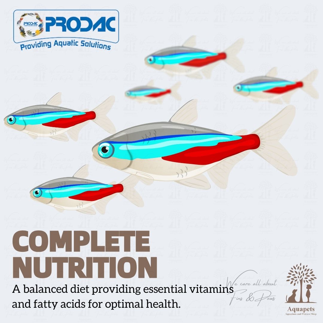 Prodac Color Canthaxanthin Fish Food Ml G Tropical Fish Food