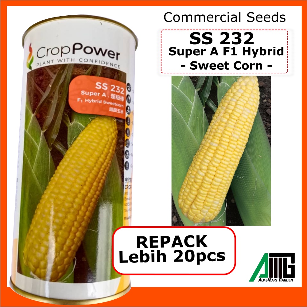 JAGUNG MANIS SWEETCORN SS232 F1 Hybrid Super A Crop Power Sweetcorn