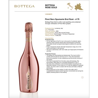 Bottega Prosecco Rose Gold Italy Champagne Shopee Malaysia