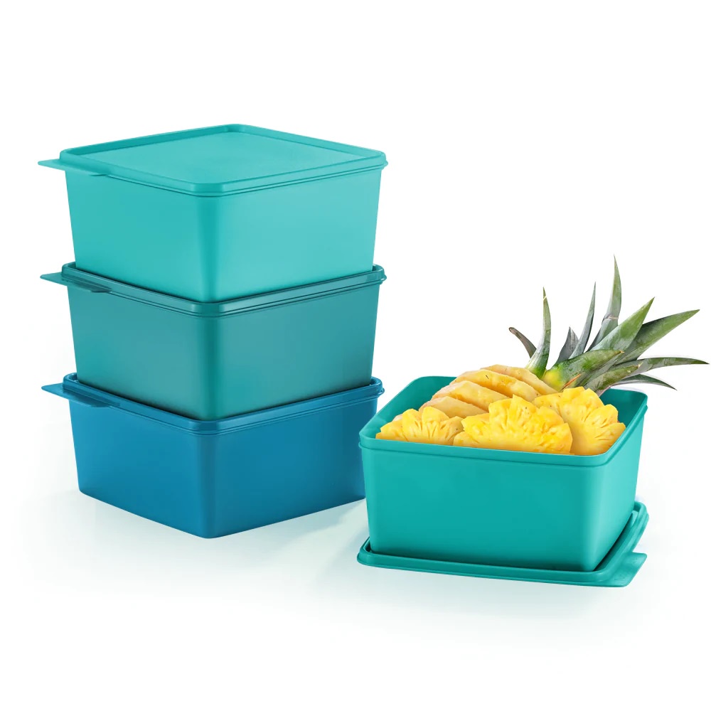 Tupperware Snack N Stack 4 Pcs 2 5L Shopee Malaysia