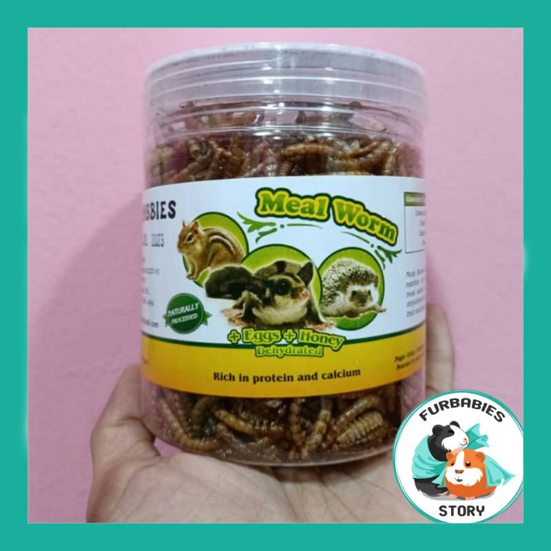 JY Hobbies Bengy Meal Worm Mealworm Hamster Food Snack Sugar Glider