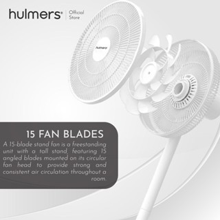 Hulmers Fan Blades Powerful In Electric Fan Adjustable Stand