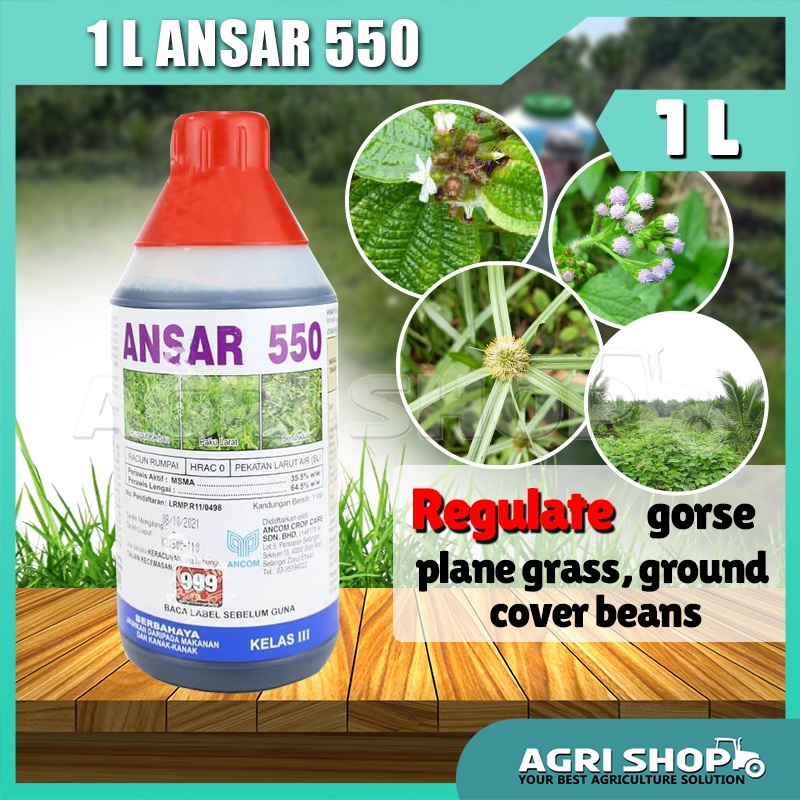 Mytools ANSAR 550 MSMA 35 5 1 Liter Herbicide Weed Grass Killer Racun