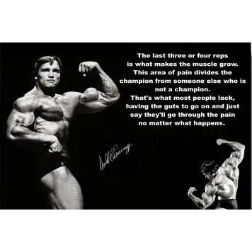 More Style Arnold Schwarzenegger Bodybuilding Motivational Art Print